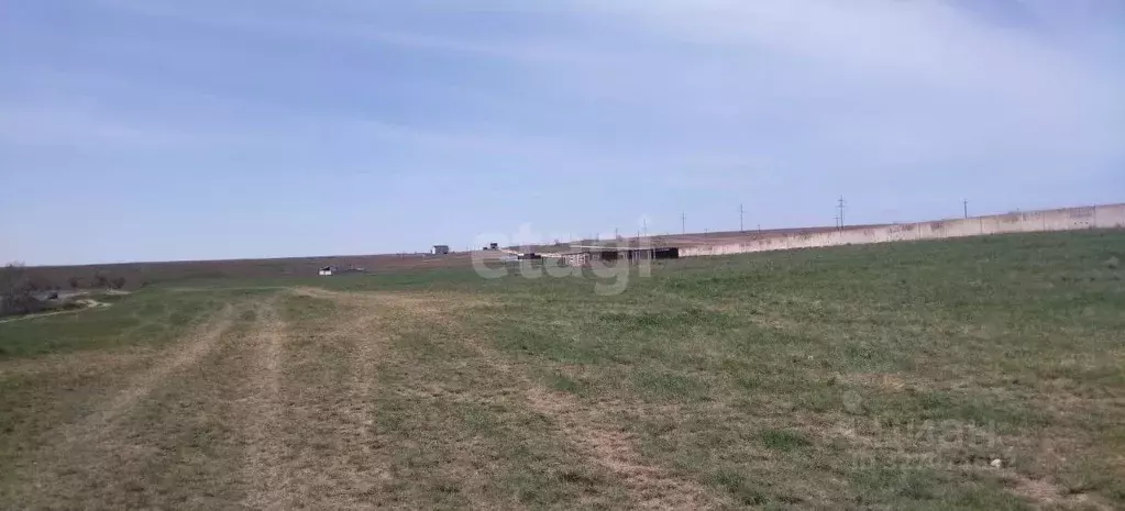 Участок в Крым, Черноморский район, Новоивановское с/пос, Звездный СНТ ... - Фото 2