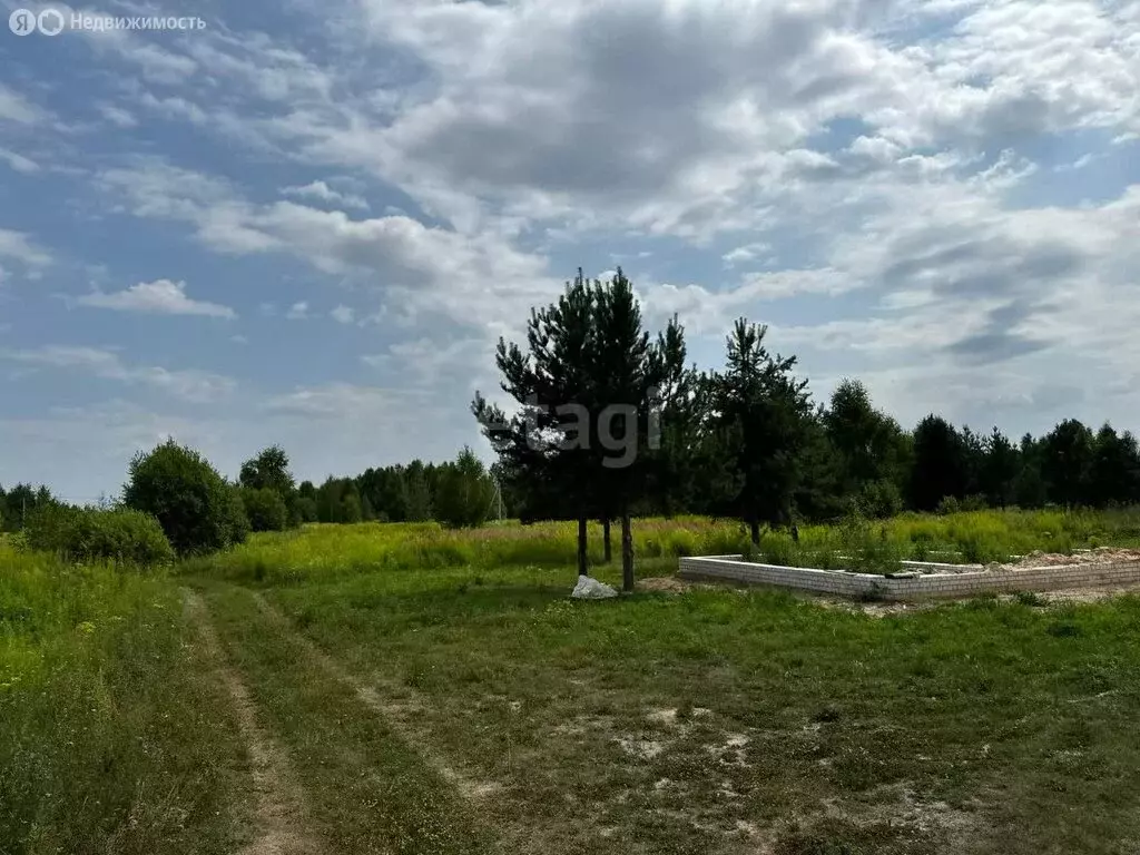 Участок в Нижегородская область, Городецкий муниципальный округ, ... - Фото 1