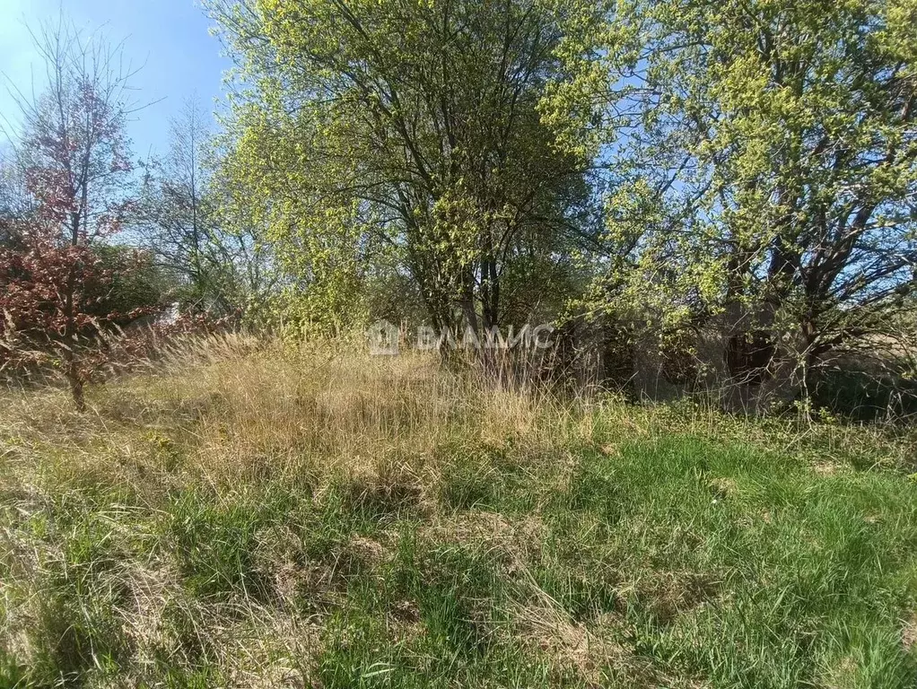Участок 6 сот. (СНТ, ДНП) - Фото 1