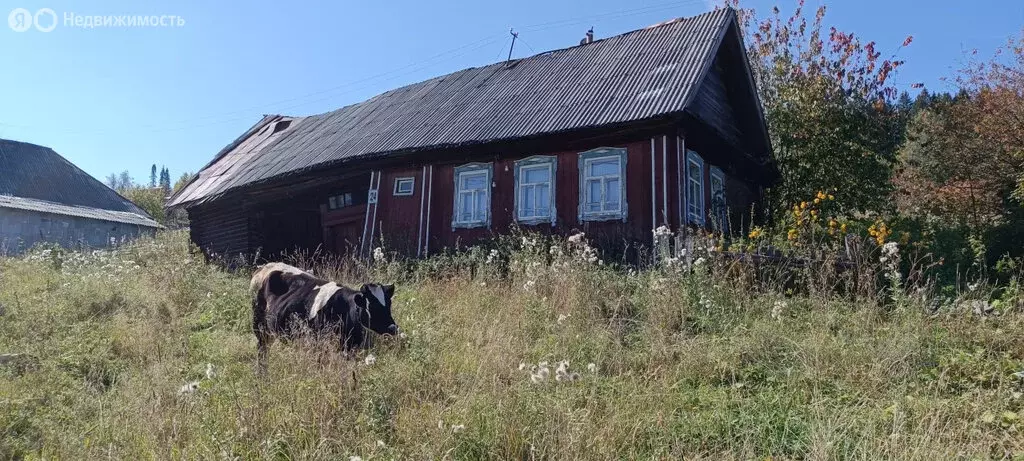 Дом в Шаля, улица Урицкого (29 м) - Фото 1
