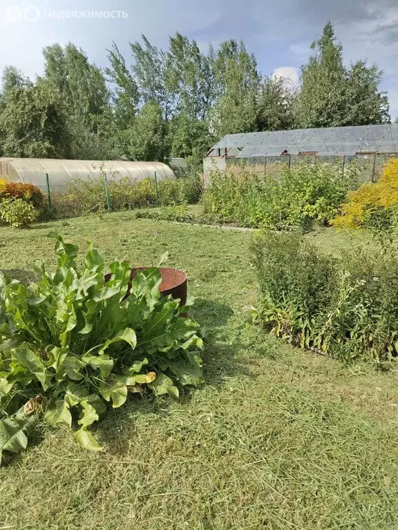 Участок в Бор, улица Тургенева (4.2 м) - Фото 2