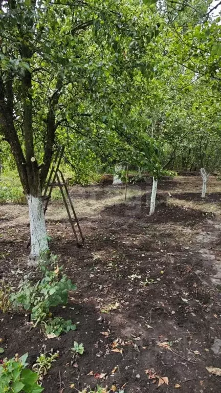 Участок в Ростовская область, Ростов-на-Дону Объездная ул. (4.81 сот.) - Фото 2