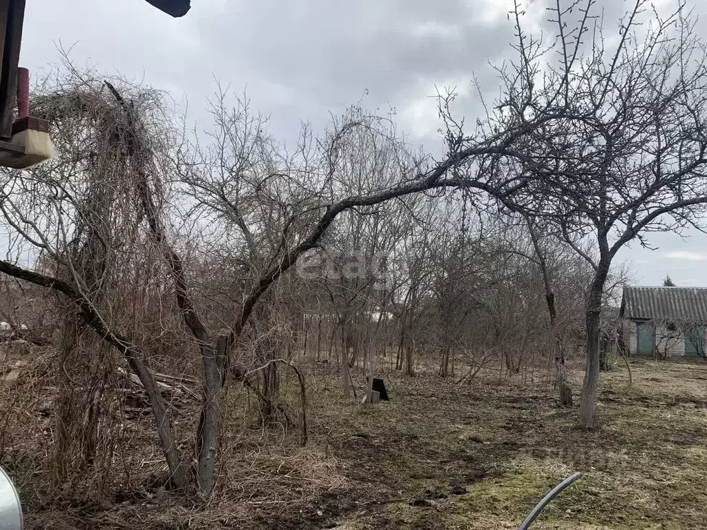 Участок в Брянская область, Брянск Дружба садовое общество, ул. ... - Фото 1