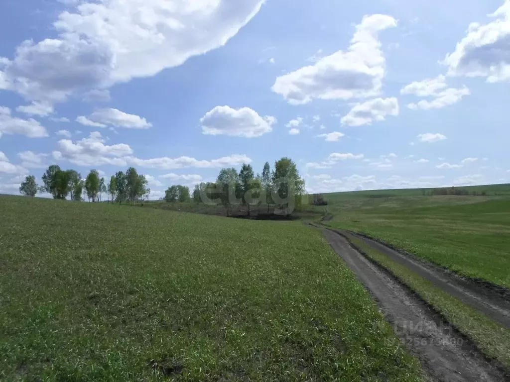 Участок в Красноярский край, Красноярск городской округ, Березовка ... - Фото 2