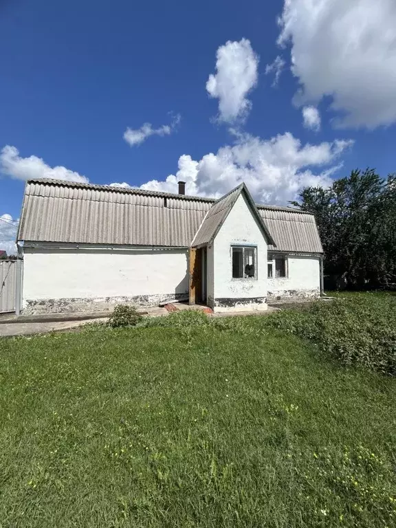 Дом в Воронежская область, Хохольский рп ул. Шолохова, 1 (48 м) - Фото 0