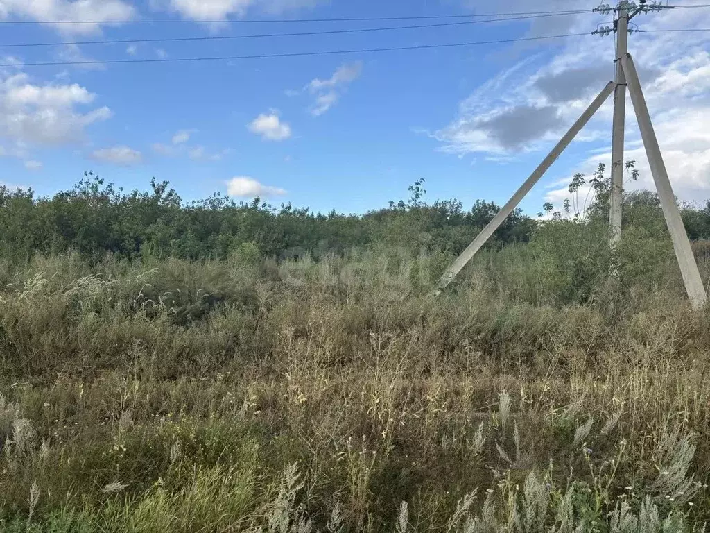 Участок в Саратовская область, Балашовский район, Хоперское ... - Фото 2