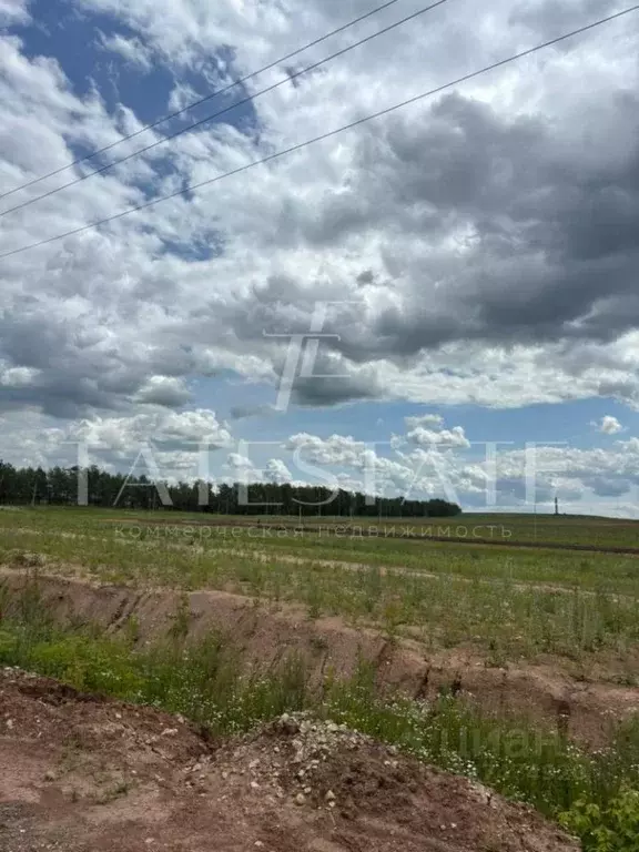 Участок в Татарстан, с. Пестрецы ул. Гаврилова (1500.0 сот.) - Фото 2