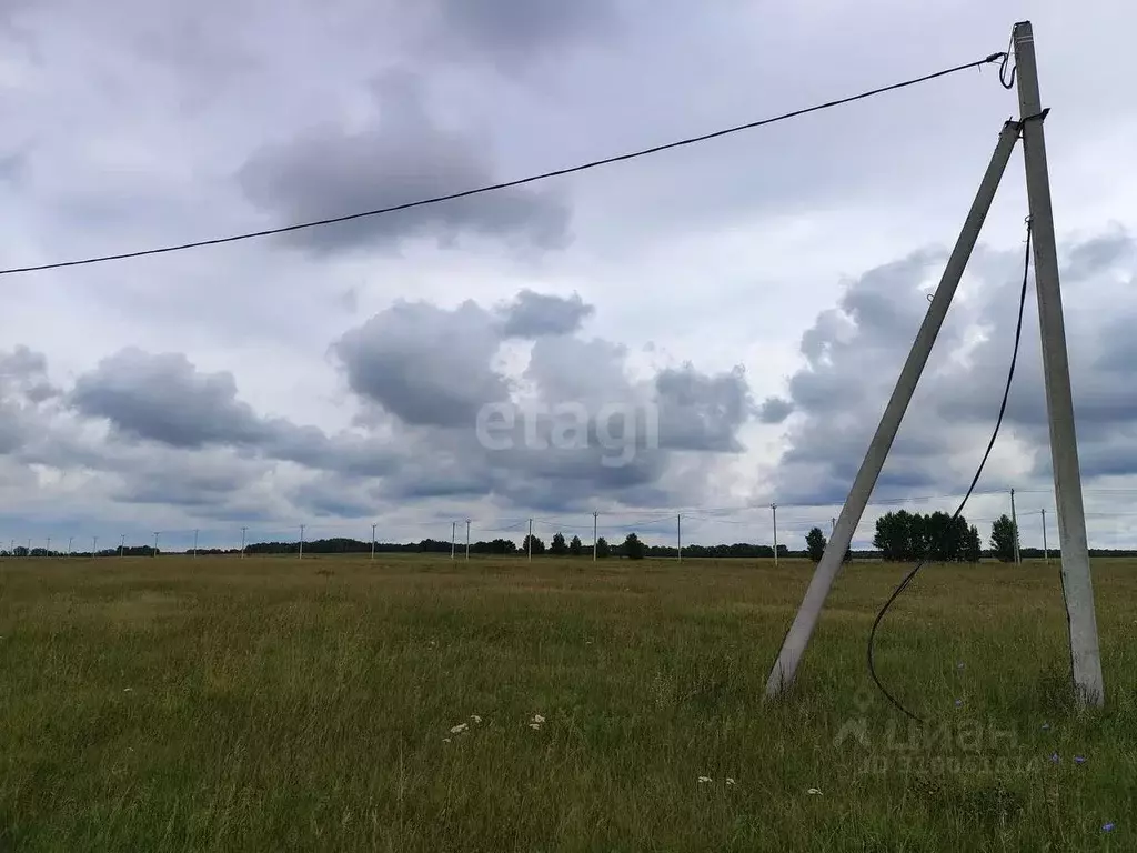 Участок в Алтайский край, Барнаул пл. Имени Акинфия Демидова (10.8 ... - Фото 0