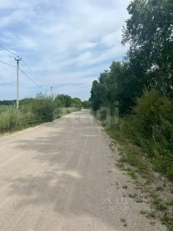 Участок в Амурская область, Благовещенский район, с. Кантон-Коммуна  ... - Фото 2