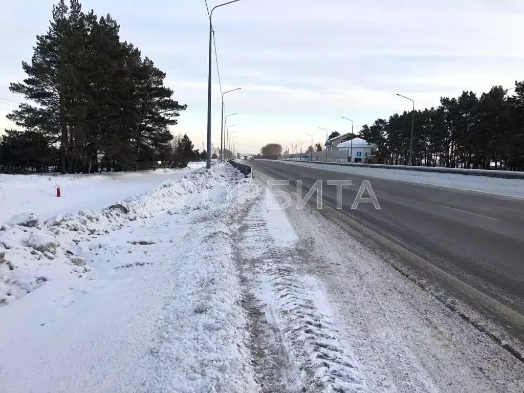 Участок в Тюменская область, Тюменский район, с. Каскара  (2800.0 ... - Фото 0
