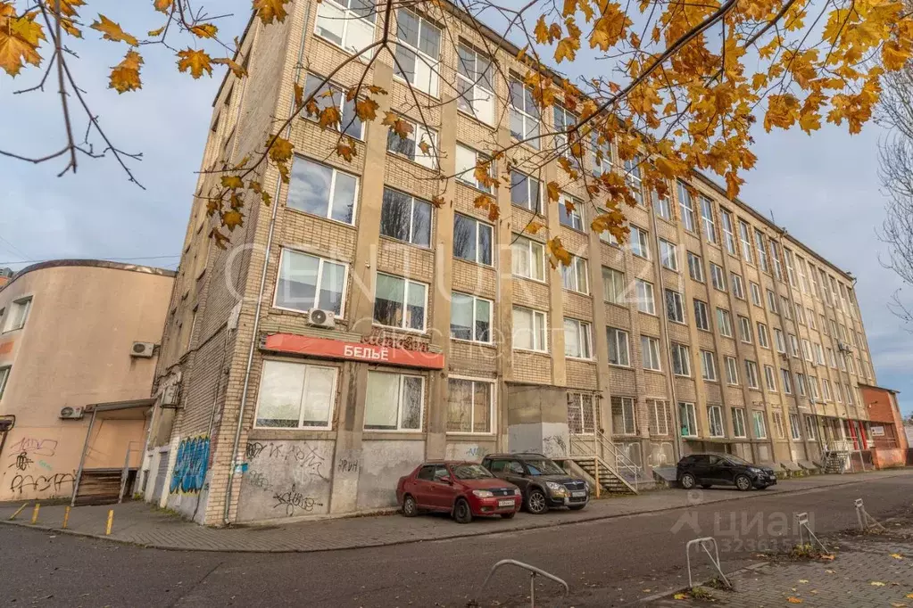 Офис в Калининградская область, Калининград ул. Генерал-лейтенанта ... - Фото 1