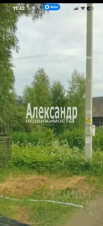 Участок в Ленинградская область, Тосненский район, Любанское городское ... - Фото 2