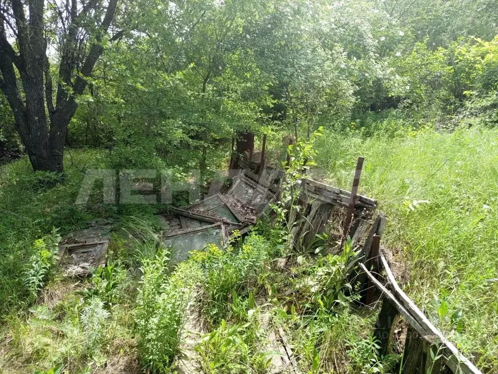Участок в Ростовская область, Мясниковский район, Большесальское ... - Фото 1