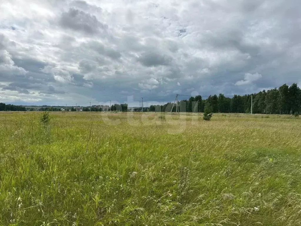 Участок в Новосибирская область, Новосибирский район, Морской ... - Фото 1