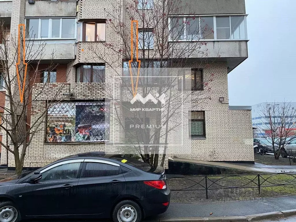 Помещение свободного назначения в Санкт-Петербург Ириновский просп., ... - Фото 1