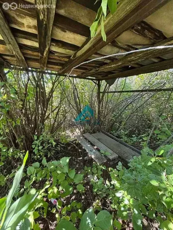Участок в Сакмарский район, Татаро-Каргалинский сельсовет, СНТ Сокол, ... - Фото 0