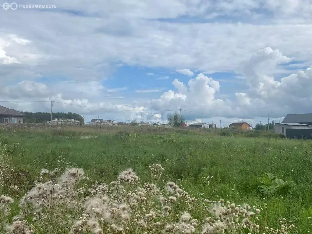 Участок в Пермский край, Большесосновский муниципальный округ, деревня ... - Фото 1
