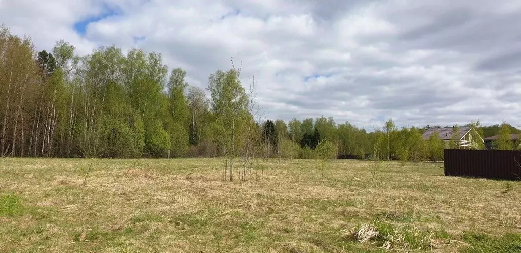 Участок в Московская область, Пушкинский городской округ, Лесная ... - Фото 1