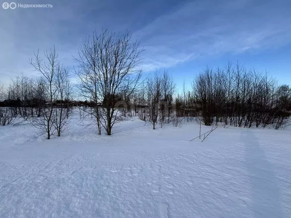 Участок в Архангельская область, Приморский муниципальный округ, ... - Фото 1