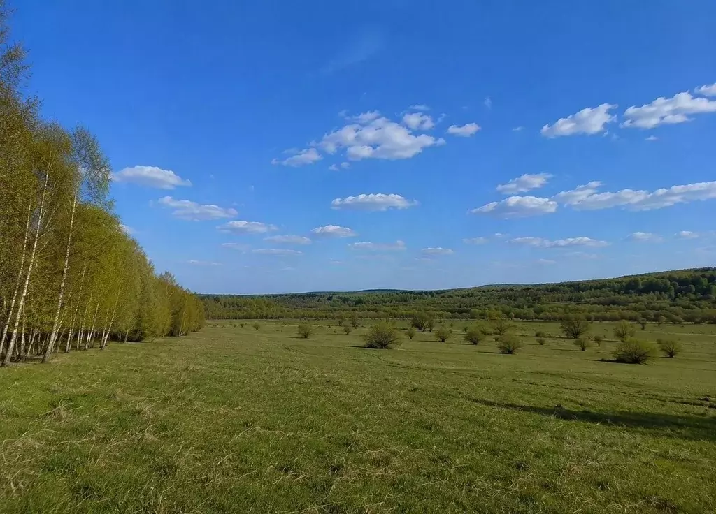 Участок в Московская область, Орехово-Зуевский городской округ, д. ... - Фото 2