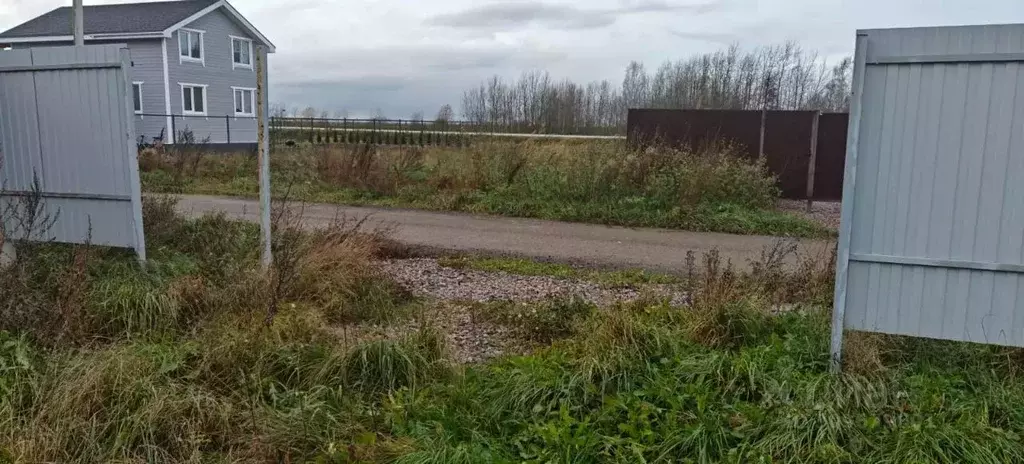 Участок в Ленинградская область, Ломоносовский район, Аннинское ... - Фото 0