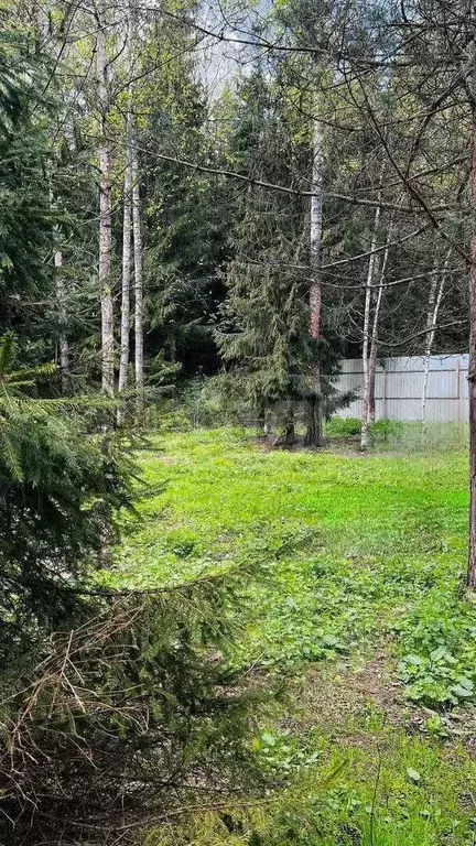 Участок 9,3 сот. (СНТ, ДНП) - Фото 0