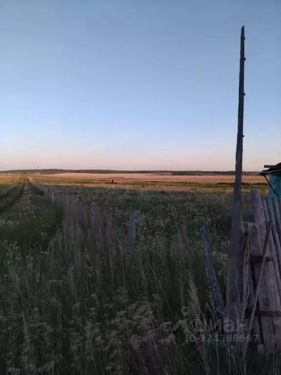 Участок в Челябинская область, Чебаркульский муниципальный округ, д. ... - Фото 2