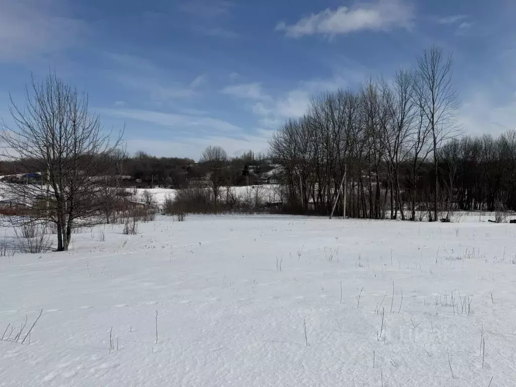 Участок в Воронежская область, Рамонский район, с. Чистая Поляна ... - Фото 1