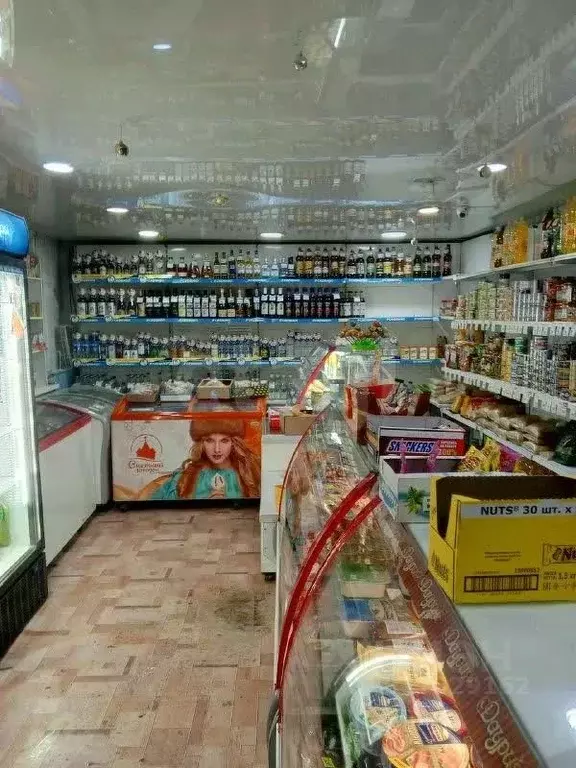 Торговая площадь в Забайкальский край, Чернышевск пгт ул. Алеурская, 7 ... - Фото 1