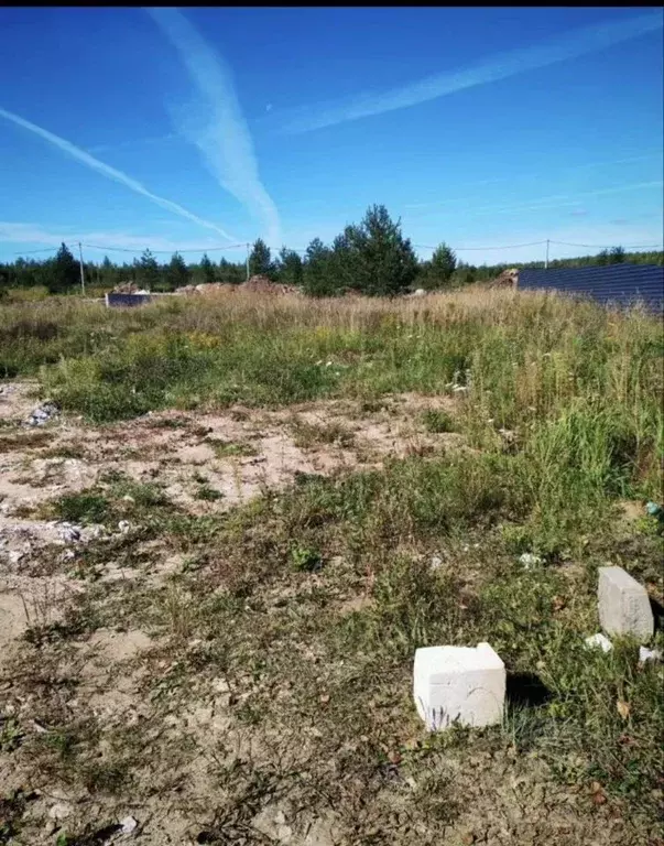 Участок в Нижегородская область, с. Безводное  (8.0 сот.) - Фото 1