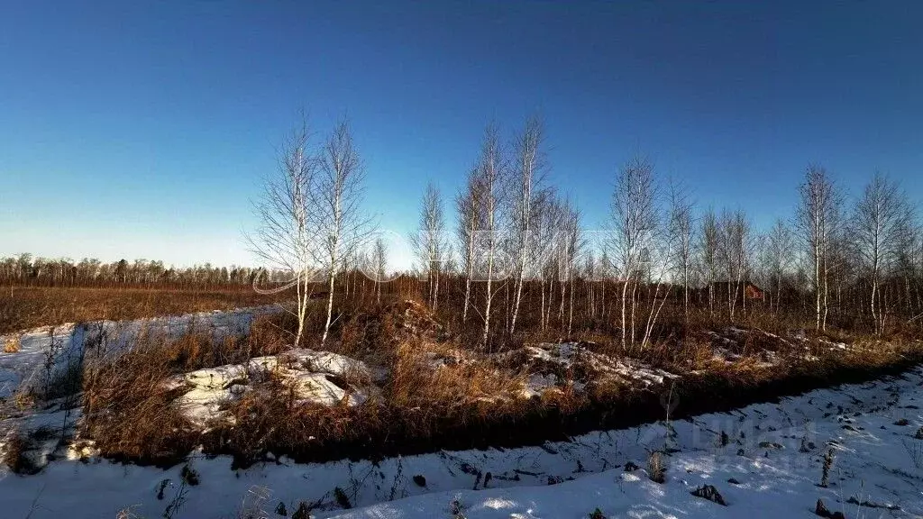Участок в Тюменская область, Тюменский муниципальный округ, Москвичка ... - Фото 1