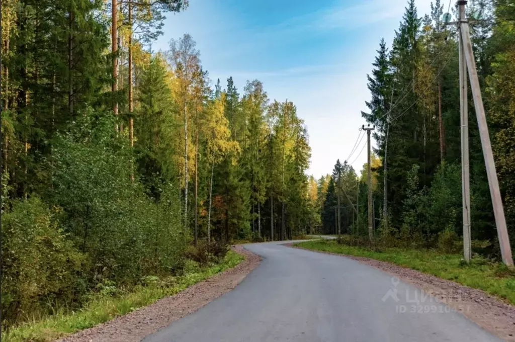 Участок в Ленинградская область, Всеволожский район, Колтушское ... - Фото 2