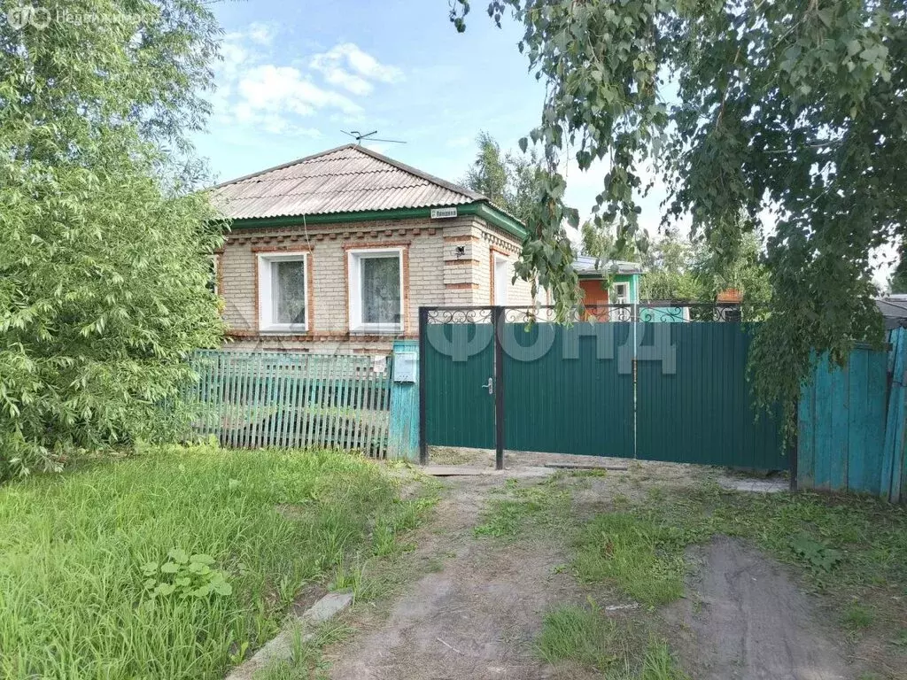 Дом в Карасук, улица Ландика (64 м) - Фото 0
