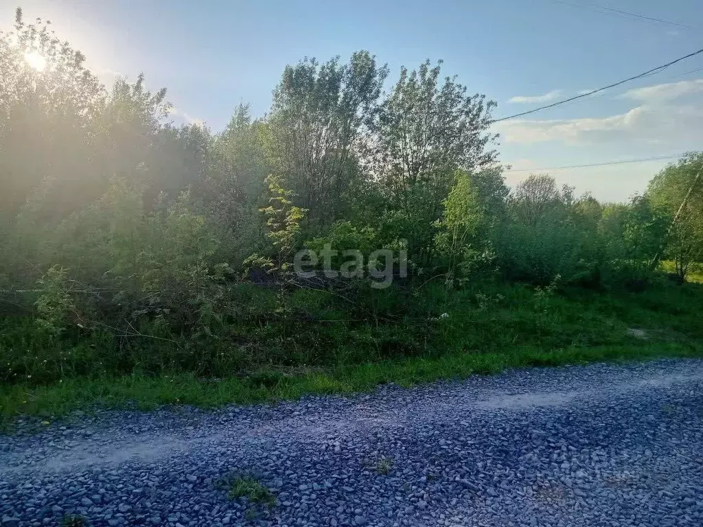 Участок в Пермский край, Добрянский городской округ, д. Городище  ... - Фото 1