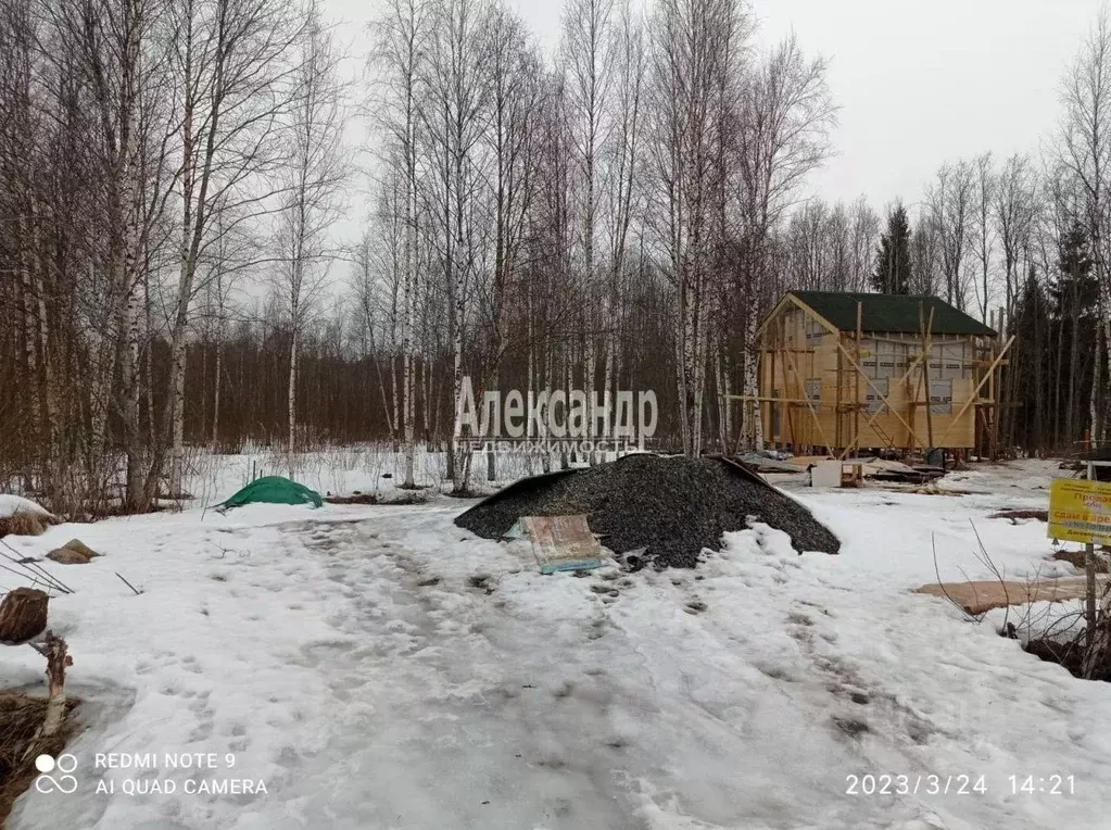 Участок в Ленинградская область, Приозерский район, Ромашкинское ... - Фото 1