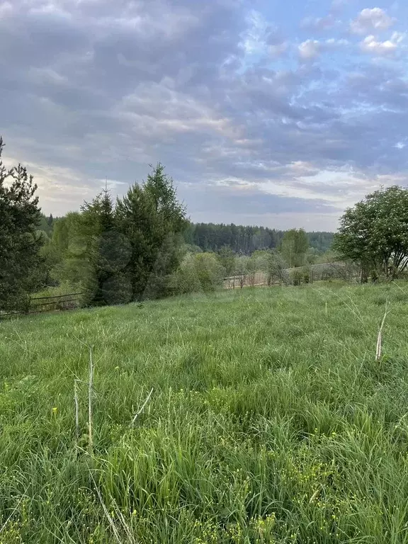 Дача 60 м на участке 17 сот. - Фото 1