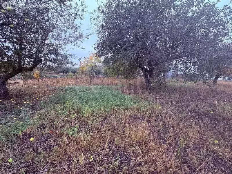 Участок в Бехтеевка, Зелёная улица (16 м) - Фото 2