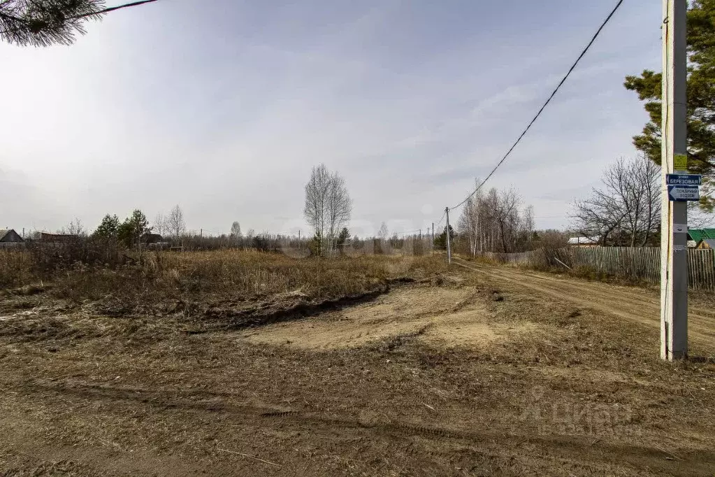 Участок в Тюменская область, Ялуторовский муниципальный округ, СО ... - Фото 1