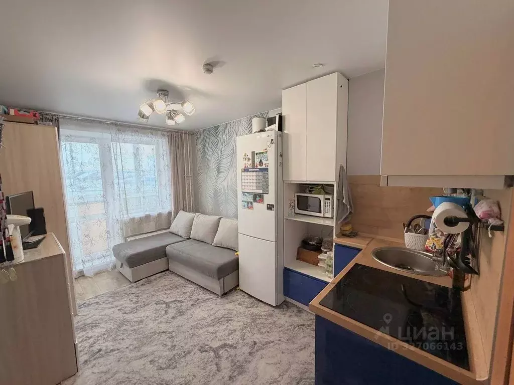 2-к кв. Пермский край, Пермский муниципальный округ, с. Фролы ул. ... - Фото 1