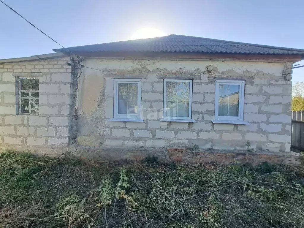 Дом в Белгородская область, Валуйский городской округ, с. Насоново ул. ... - Фото 0