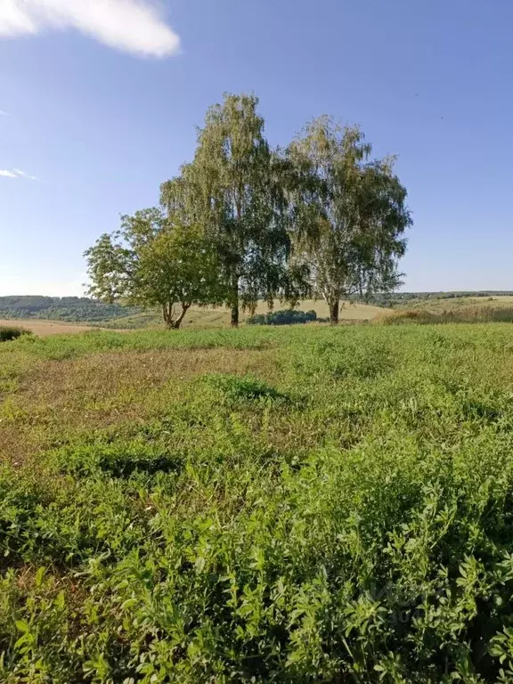 Участок в Нижегородская область, Нижний Новгород с. Варварское, ул. ... - Фото 2