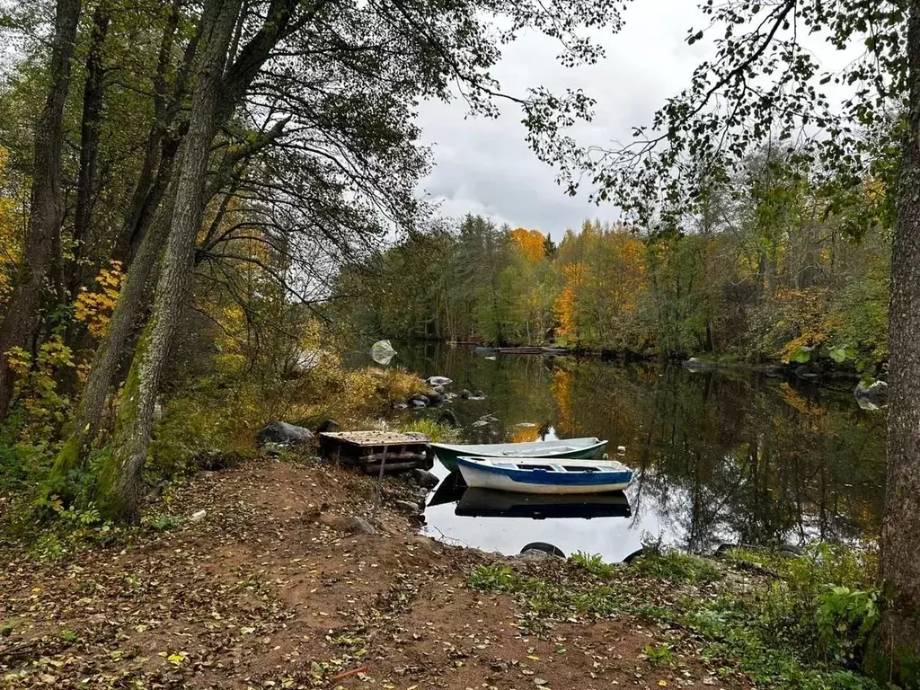 Участок в Ленинградская область, Выборгский район, Селезневское с/пос, ... - Фото 1