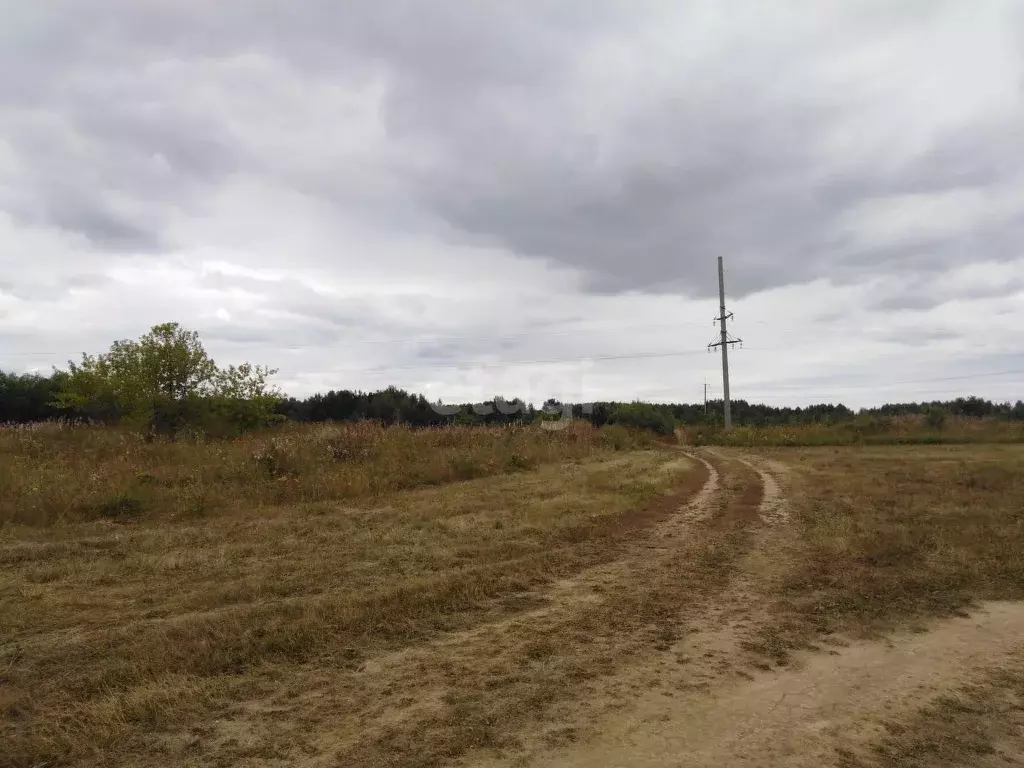 Участок, 21 сот., поселения (ижс) - Фото 2