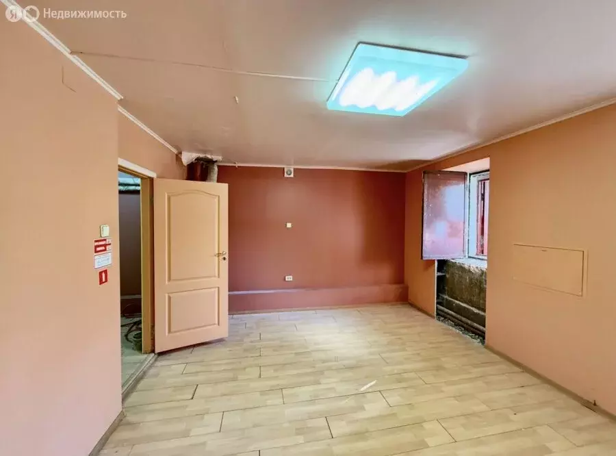 Помещение свободного назначения (22 м) - Фото 1