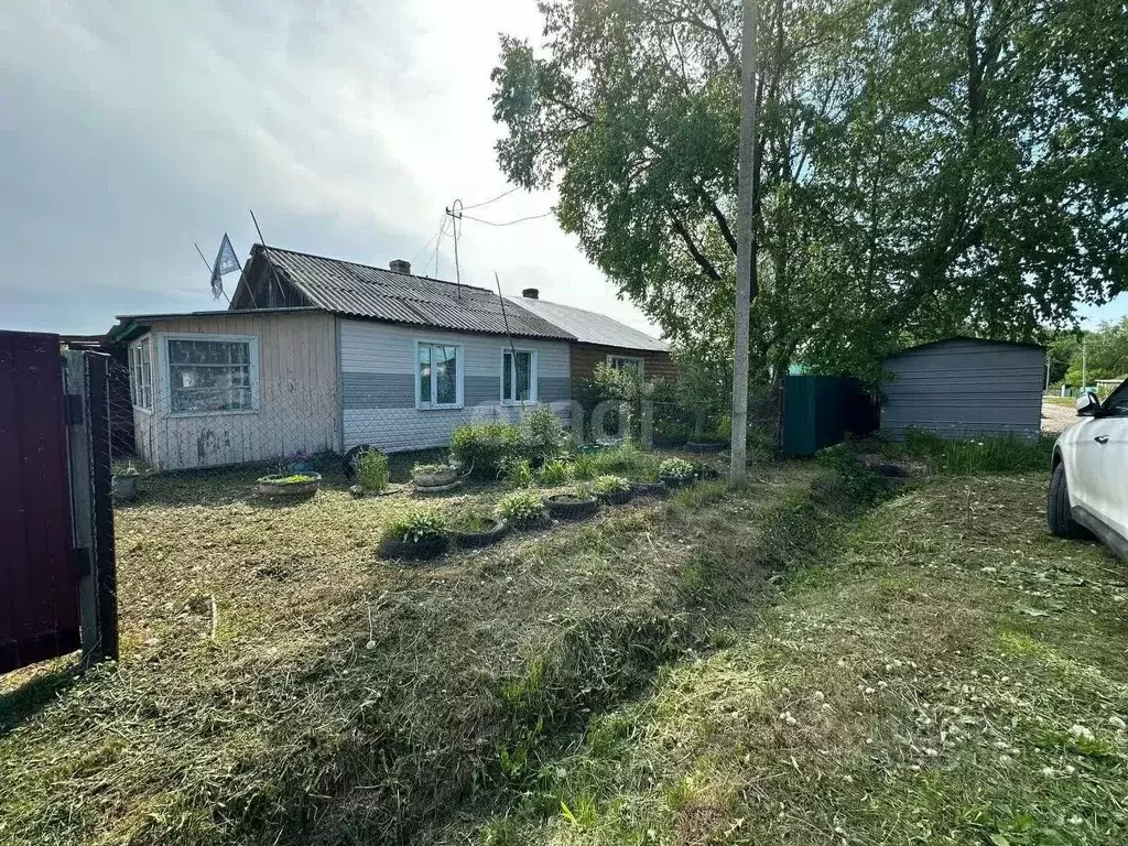 Дом в Хабаровский край, Имени Лазо район, с. Могилевка  (39 м) - Фото 1