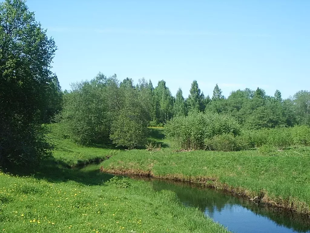 Участок в Ленинградская область, Тосненский район, Лисинское с/пос, д. ... - Фото 2