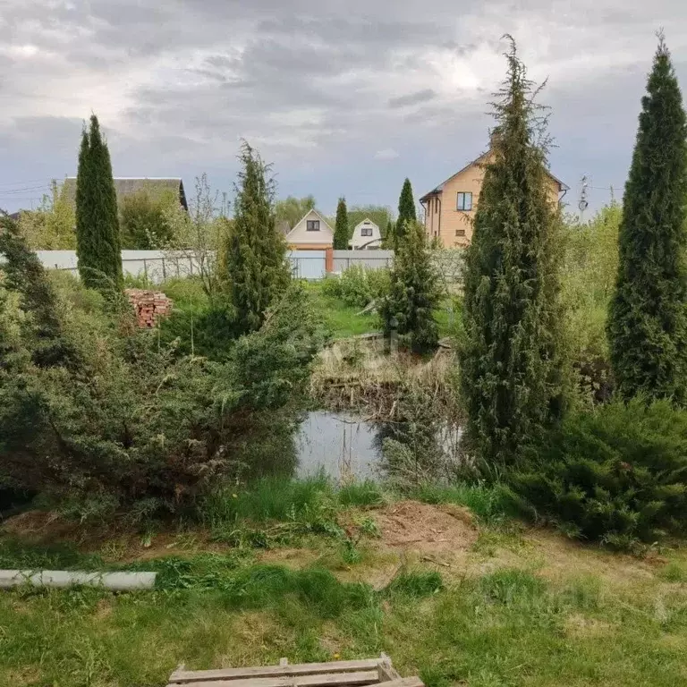 Участок в Калужская область, Совхоз Боровский с/пос, д. Кабицыно ул. ... - Фото 2