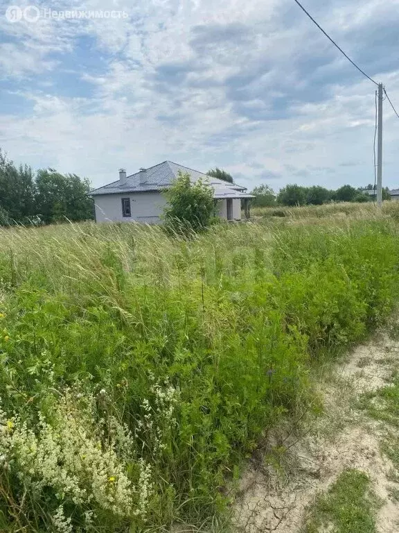 Участок в Заозерье, Калиновая улица (6 м) - Фото 0