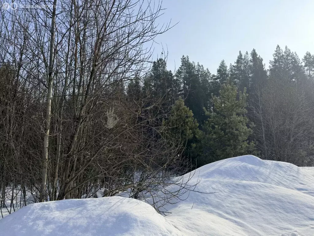 Участок в Лаишевский район, Столбищенское сельское поселение, село ... - Фото 1