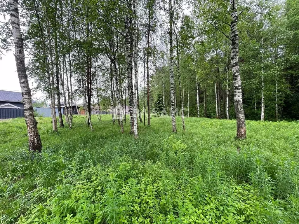Участок в Ленинградская область, Всеволожский район, Бугровское ... - Фото 1